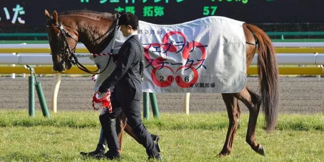 【武蔵野S予想2017】モーニン復活の立役者となるのはこの男か？