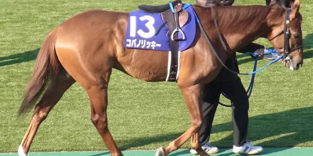 【帝王賞2016予想】帝王賞も武豊！G1連勝へ意欲十分のコパノリッキー
