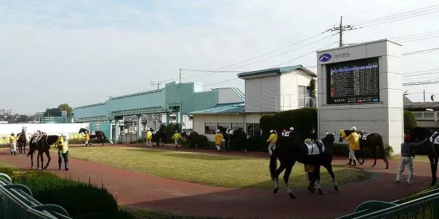 【さきたま杯2016予想】絶好調ソルテが中央勢に待ったをかける！