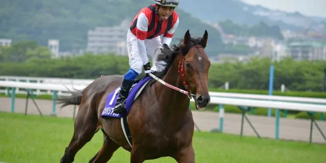 【注目新馬】ウインバリアシオンの全弟・ガーランドワルツが登場