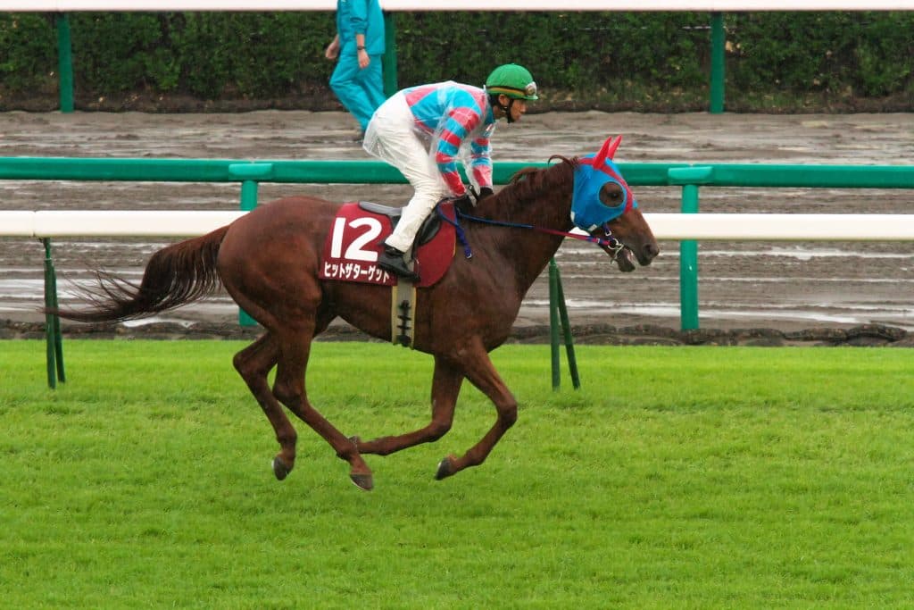 【宝塚記念2016出走馬】どこで来るかわからない、伏兵気質のヒットザターゲット