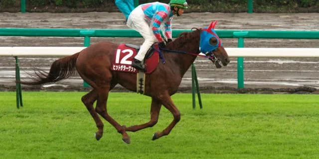 【京都大賞典2016予想】条件さえ合えば走るヒットザターゲットが2013年の再来で激走する！