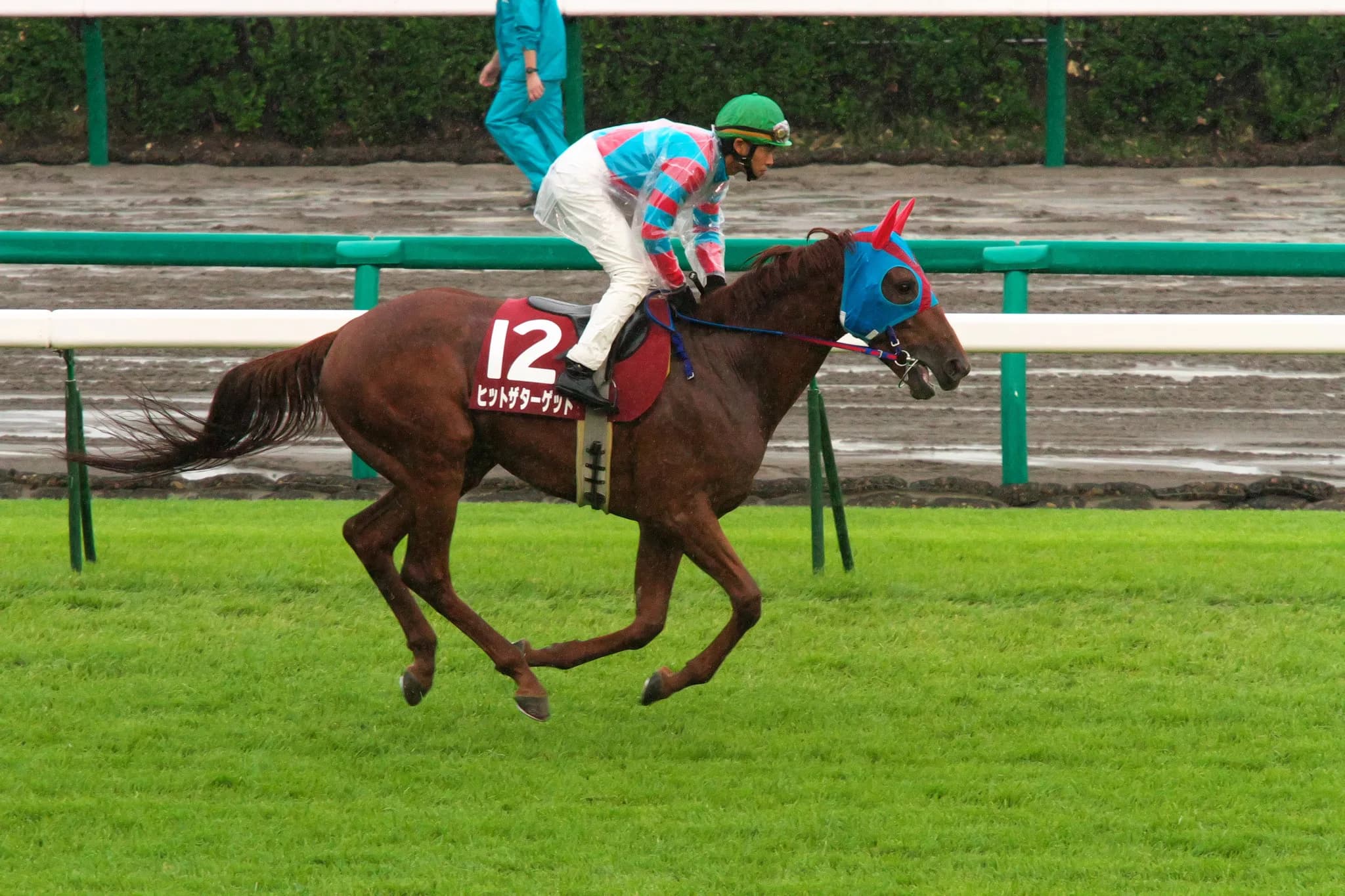 【京都大賞典2016予想】条件さえ合えば走るヒットザターゲットが2013年の再来で激走する！