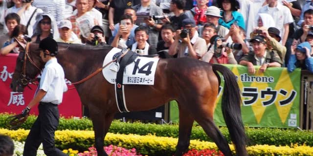 【宝塚記念2016予想】ドバイ帰りのドゥラメンテは買えるか？