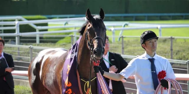 【鳴尾記念2016予想】1戦毎に好走凡走を繰り返しているトラストワンが今度は好走する順番！