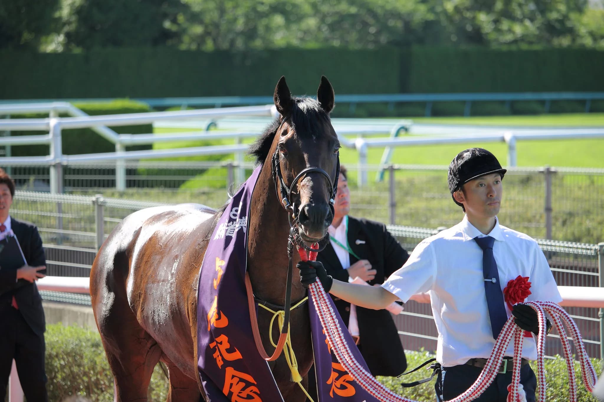 【鳴尾記念2016予想】1戦毎に好走凡走を繰り返しているトラストワンが今度は好走する順番！