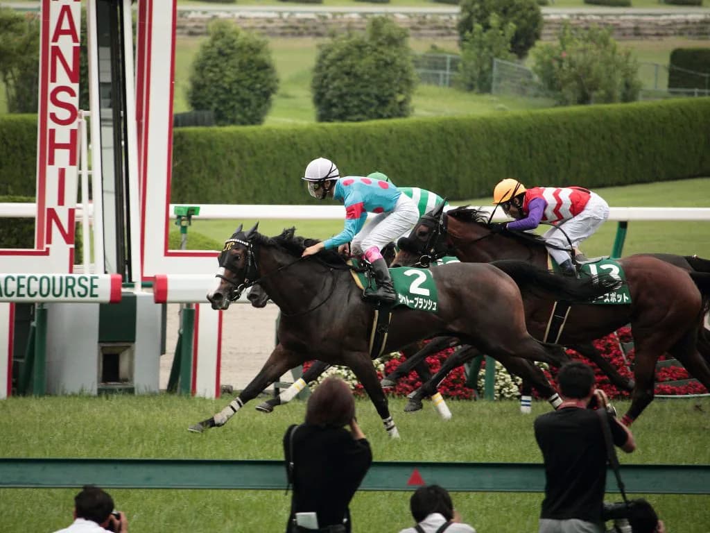 エプソムCとは対照的。大激戦必至のマーメイドステークス