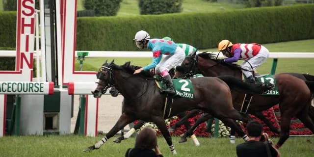 エプソムCとは対照的。大激戦必至のマーメイドステークス