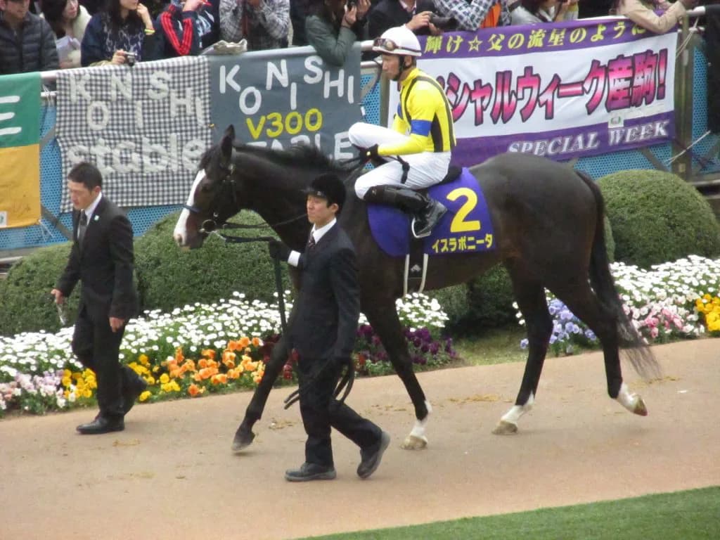 注目の新馬戦勝ち馬メモリーミネルバ