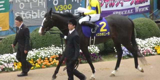 注目の新馬戦勝ち馬メモリーミネルバ