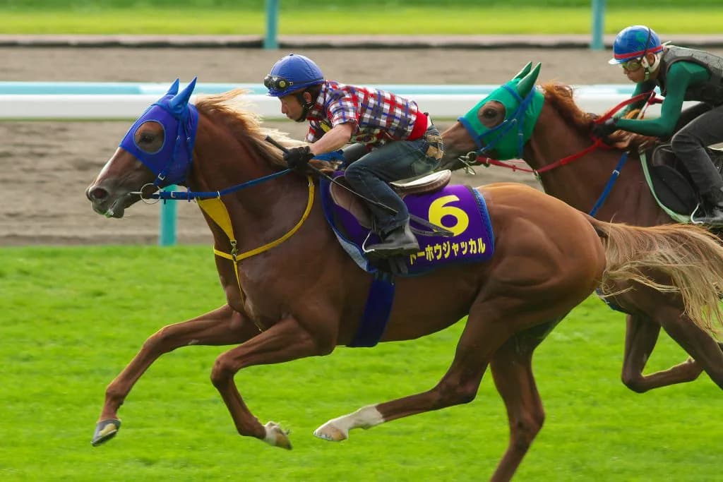 菊花賞馬トーホウジャッカル、産駒待望の勝利から期待したい今後の成長力
