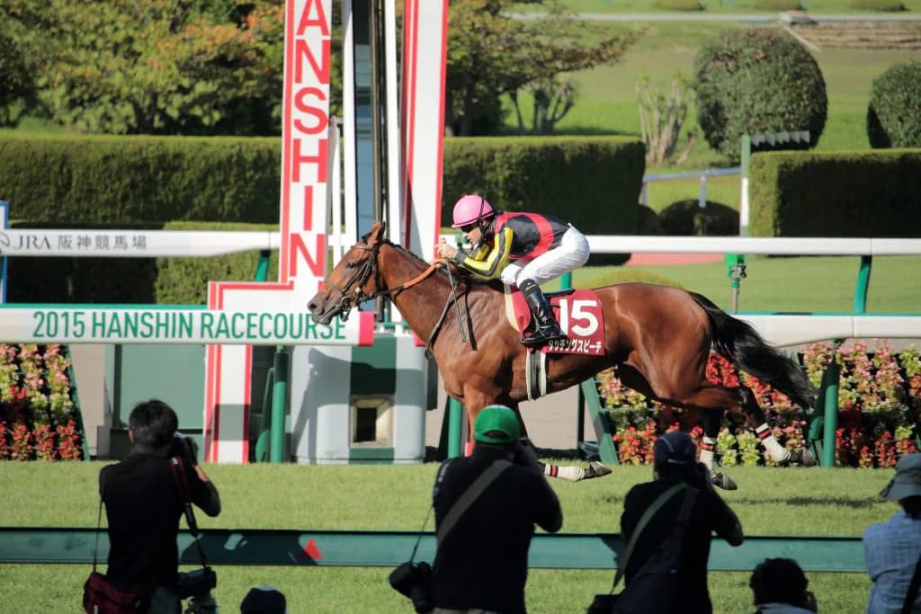 【宝塚記念2016出走馬】迷走気味のタッチングスピーチ