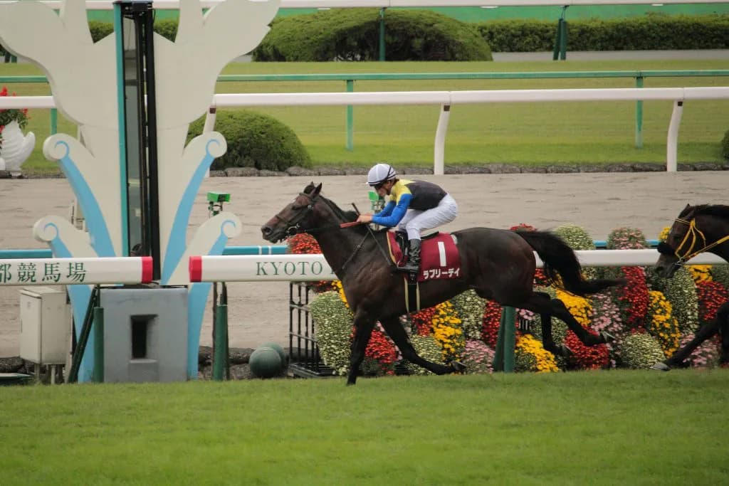 【宝塚記念2016】ラブリーデイの絶妙な”地味さ”
