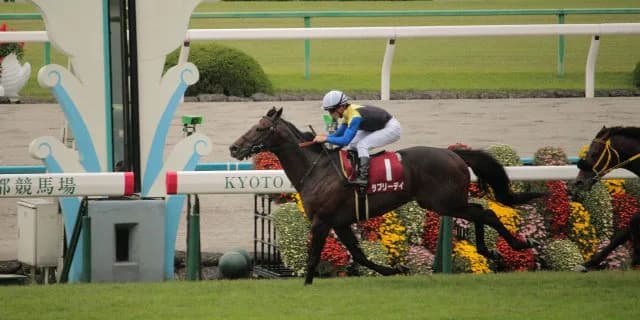 【宝塚記念2016】ラブリーデイの絶妙な”地味さ”