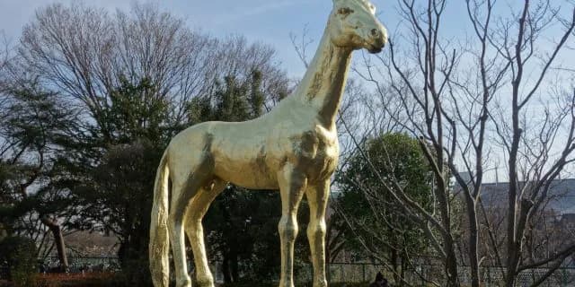 【アハルテケS注目馬】典型的なサウスポー。得意舞台でチャーリーブレイヴに期待。