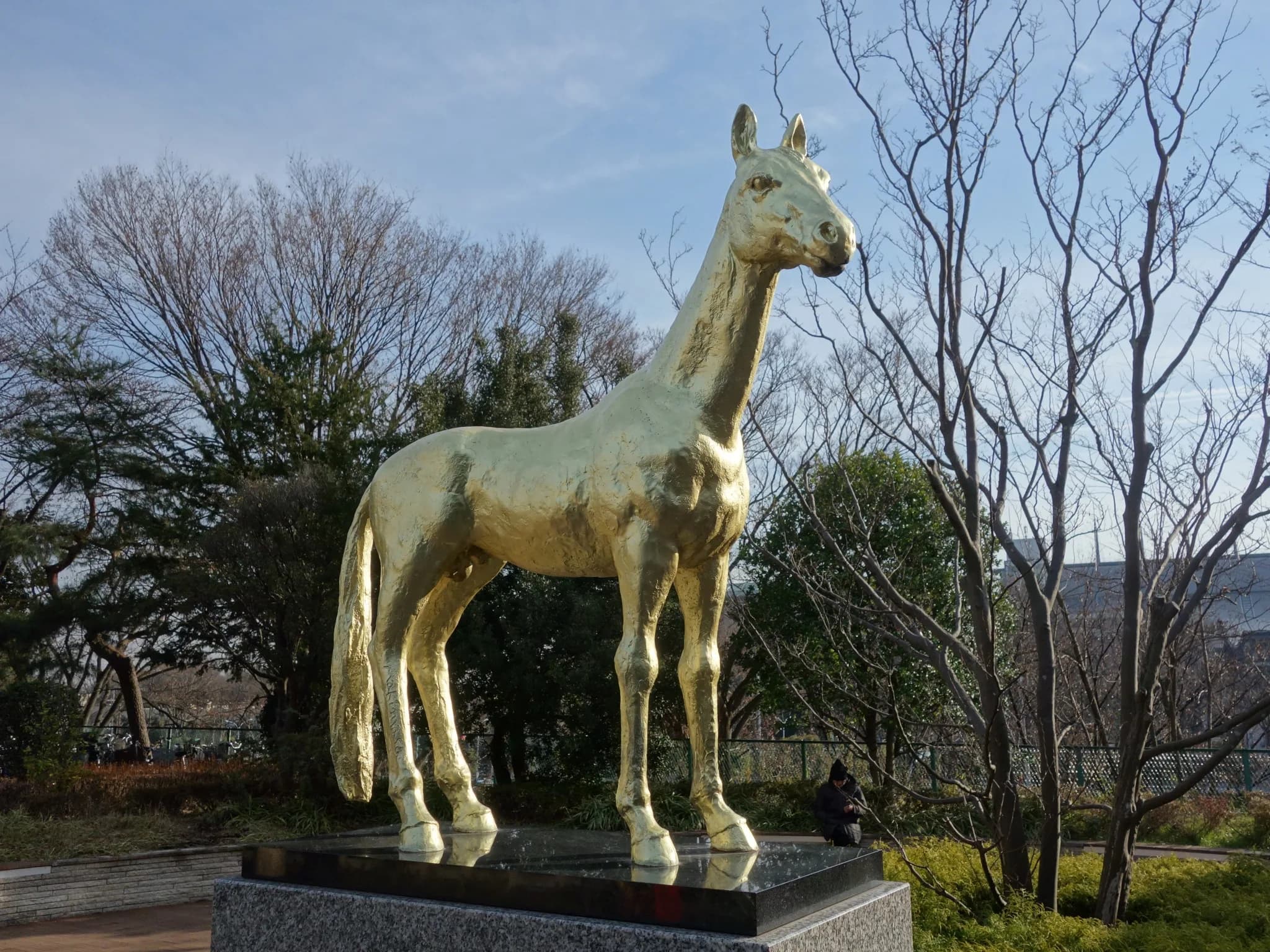 【アハルテケS注目馬】典型的なサウスポー。得意舞台でチャーリーブレイヴに期待。