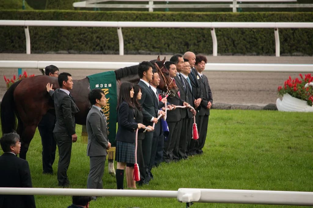 モーリス年内で引退！ピーク過ぎた？引退には早いという声も