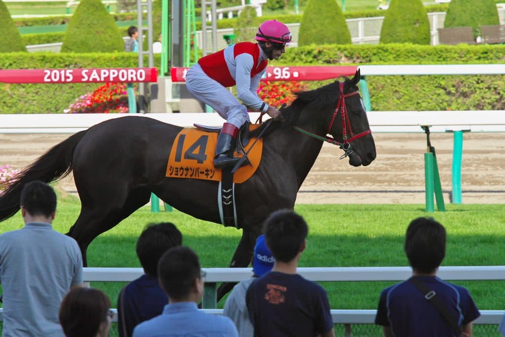 【マーメイドS2016予想】雨予報、斤量に敏感なショウナンバーキンが50kgで大激走？！