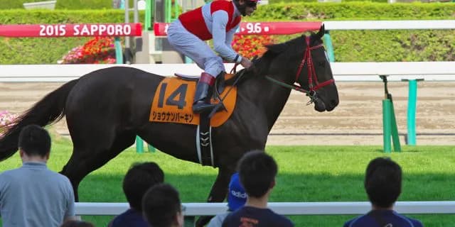 【マーメイドS2016予想】雨予報、斤量に敏感なショウナンバーキンが50kgで大激走？！