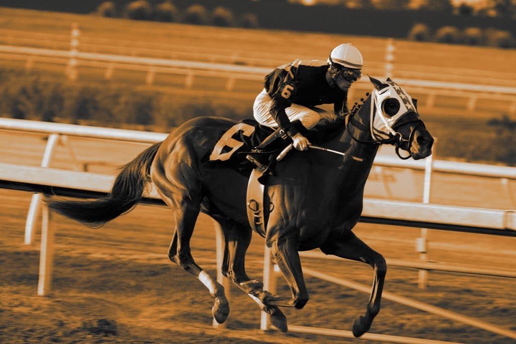 新馬戦が3回使えた時代が懐かしい。