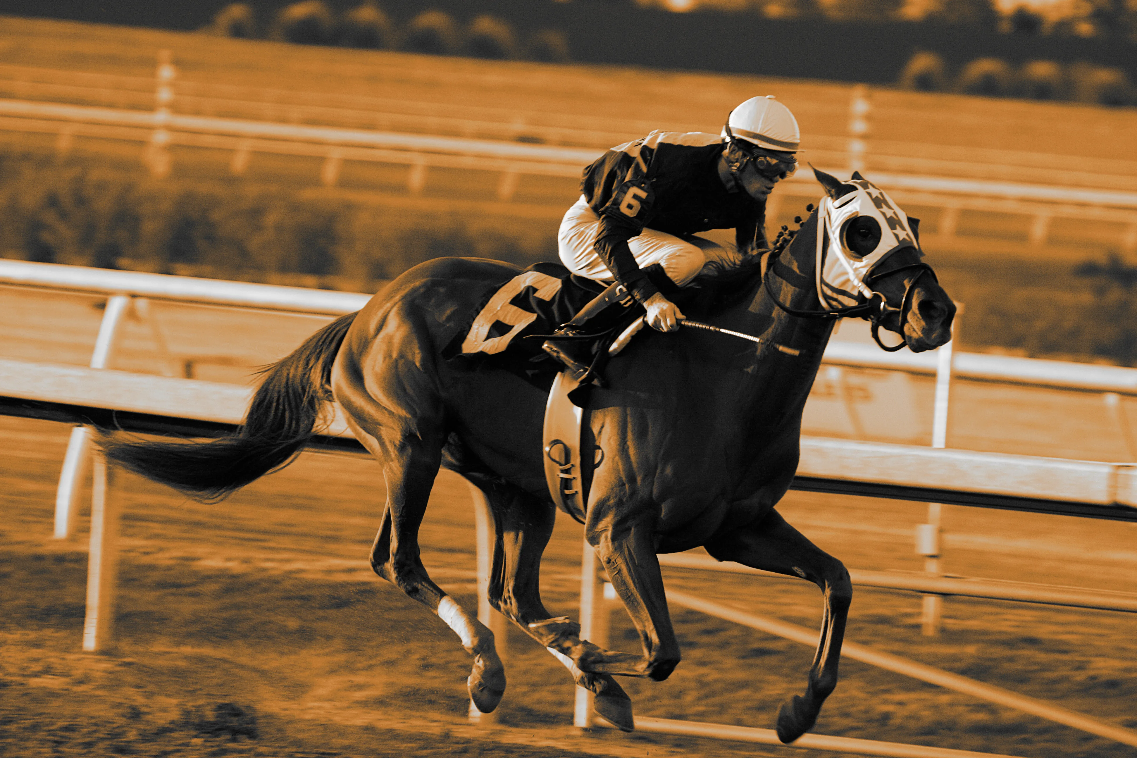新馬戦が3回使えた時代が懐かしい。