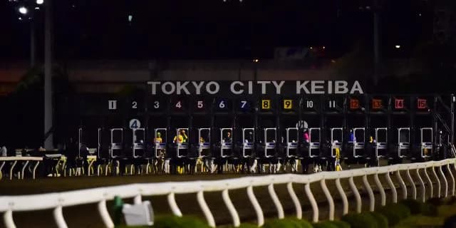 【東京ダービー2016】JRAから移籍初戦のバルダッサーレが7馬身差の完勝！