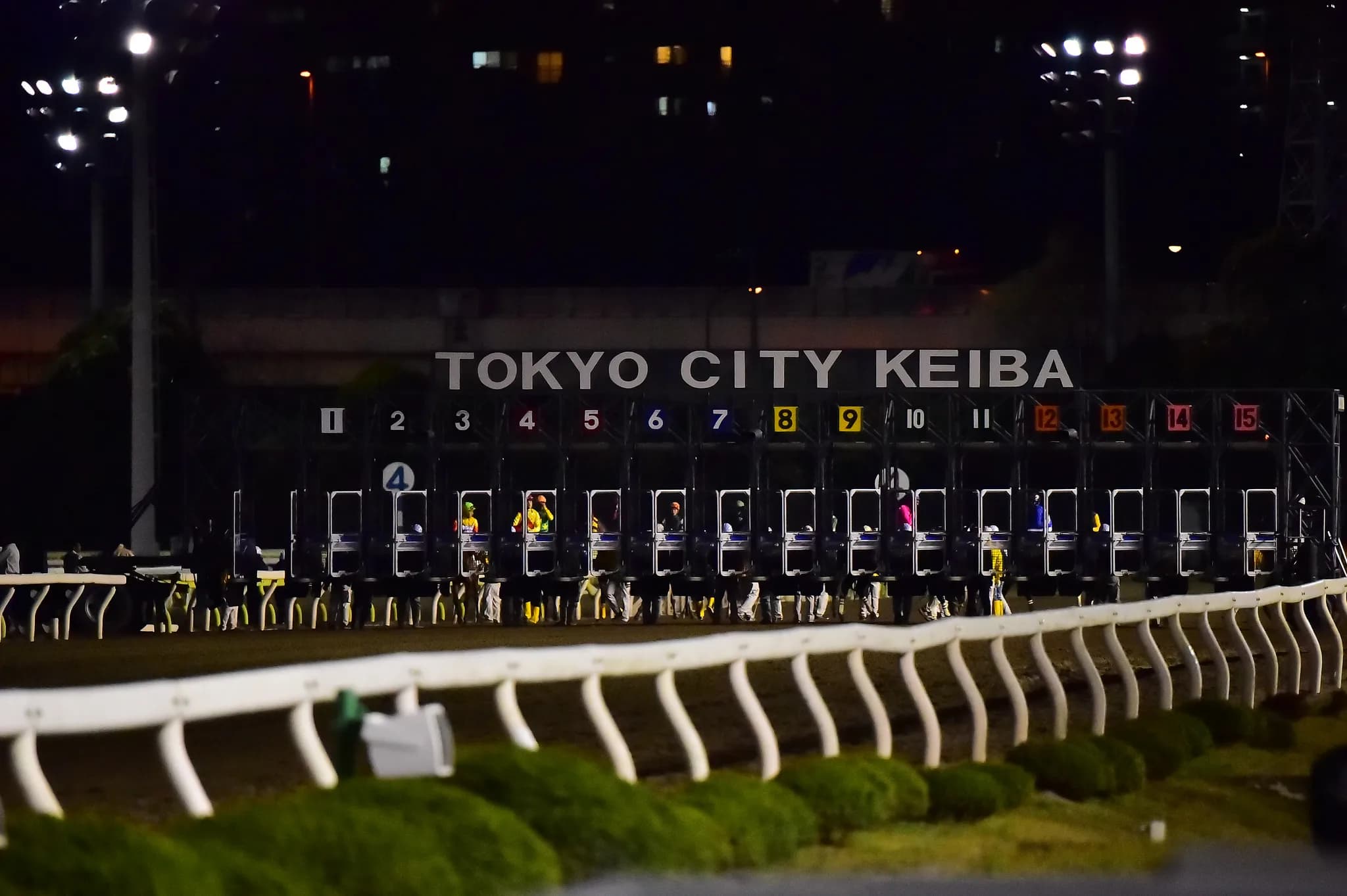 【東京ダービー2016】JRAから移籍初戦のバルダッサーレが7馬身差の完勝！