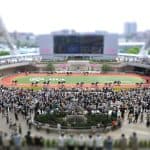 【鳴尾記念2025予想】阪神1800mの中距離G3！グランヴィノスやオールナットなど出走予定馬を考察