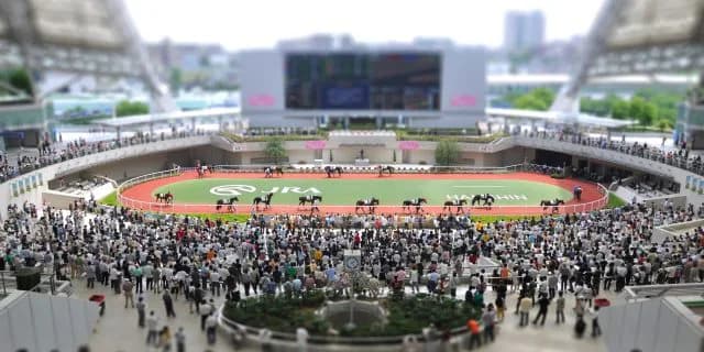 【大阪杯2025予想】春の中距離王決定戦！シックスペンスやステレンボッシュなど出走予定馬を考察