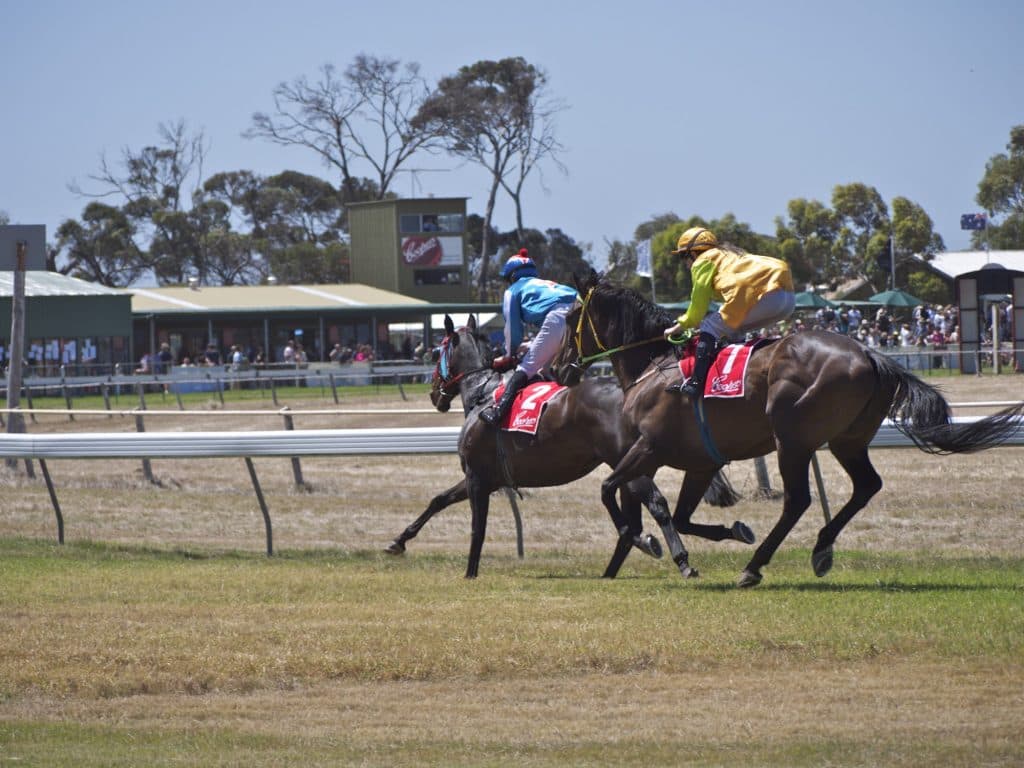【テレビユー福島賞】1, 2番人気が勝てないちょい荒れレース制するのは？