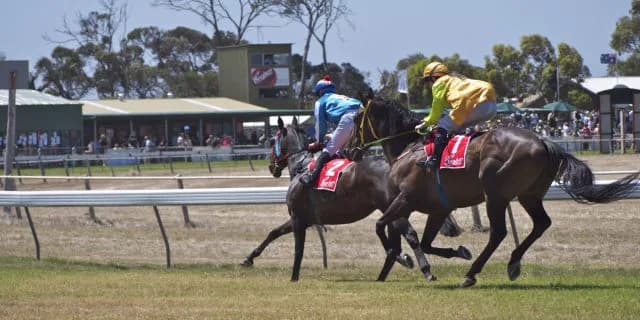 【テレビユー福島賞】1, 2番人気が勝てないちょい荒れレース制するのは？