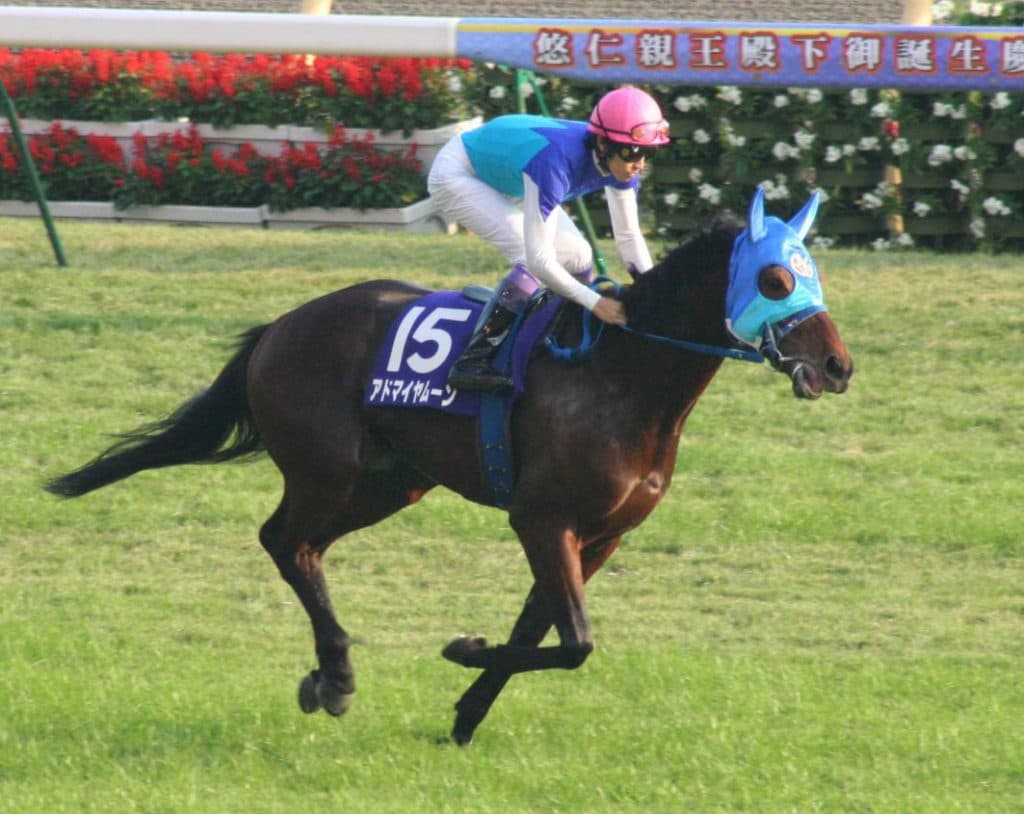 ファインニードルなど産駒が活躍。種牡馬アドマイヤムーン、人気沸騰中！