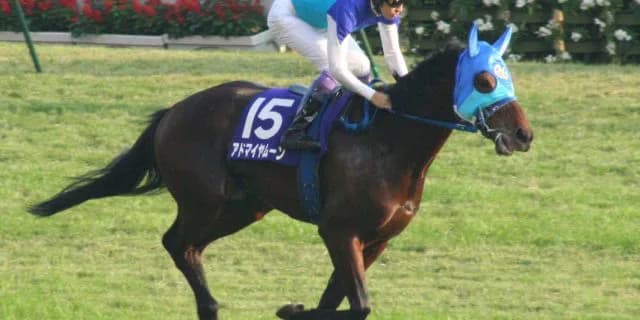 ファインニードルなど産駒が活躍。種牡馬アドマイヤムーン、人気沸騰中！