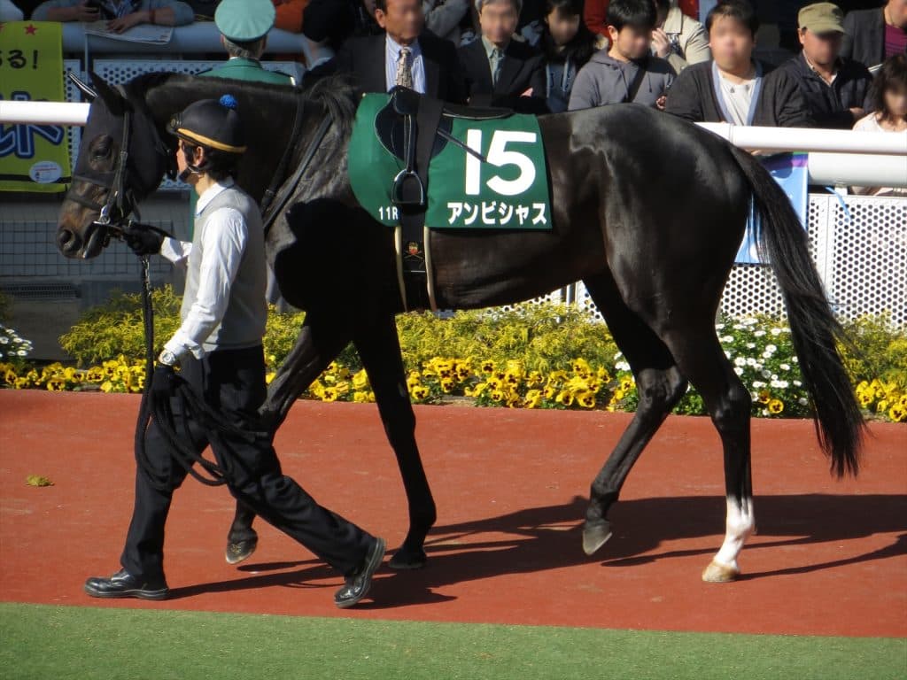 【毎日王冠2016予想】アンビシャス能力はGⅠ級