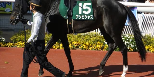 【大阪杯2017予想】アンビシャスいよいよGⅠ戴冠なるか！！