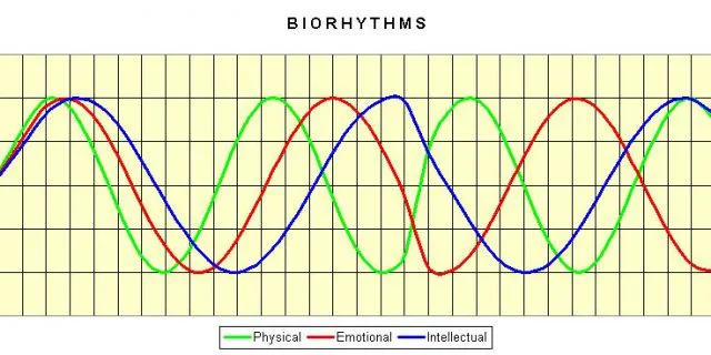 馬券の波を感じることはあるだろうか？