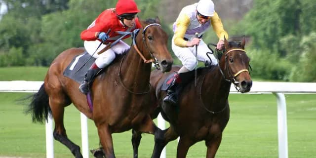 【函館2歳S2016予想】2歳短距離重賞の狙い方は？！モンドキャンノとロイヤルメジャー、買うべき馬はどっちだ？！