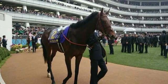 【種牡馬】「ドゥラメンテ」が成功すると思う3つの理由