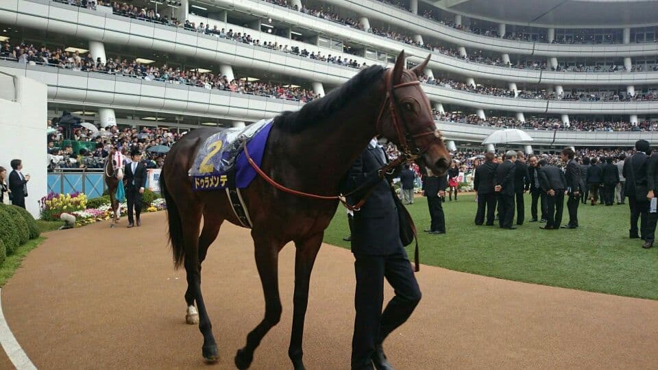 【宝塚記念2016予想】ダービー馬ドゥラメンテの決定的な弱点、これを知ればあなたもドゥラメンテ・マスター！