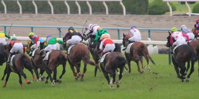 【安田記念2016予想】香港馬コンテントメント・日本での通用の可能性は如何に？！