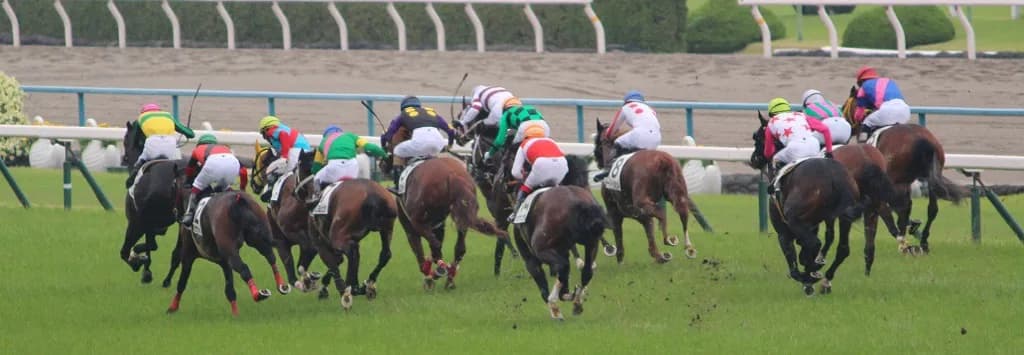 【安田記念2016予想】香港馬コンテントメント・日本での通用の可能性は如何に？！