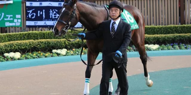 【北海道スプリントC2016予想】ダート短距離界の新星ノボバカラがダノンレジェンドを破るか？！