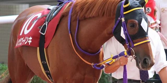 【函館SS2016予想】洋芝スプリント戦で条件の揃ったレッツゴードンキが夏競馬初週に大波乱を巻き起こす