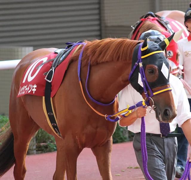 【函館SS2016予想】洋芝スプリント戦で条件の揃ったレッツゴードンキが夏競馬初週に大波乱を巻き起こす