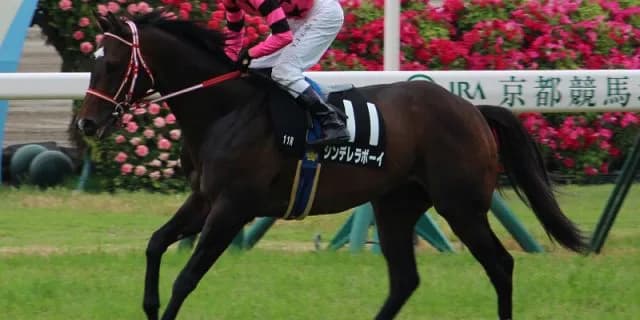 【CBC賞2016予想】シンデレラボーイ・夏のローカル重賞波乱の立役者(1)