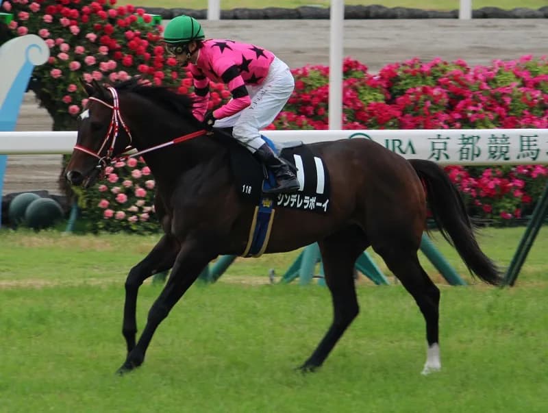 【CBC賞2016予想】シンデレラボーイ・夏のローカル重賞波乱の立役者(1)