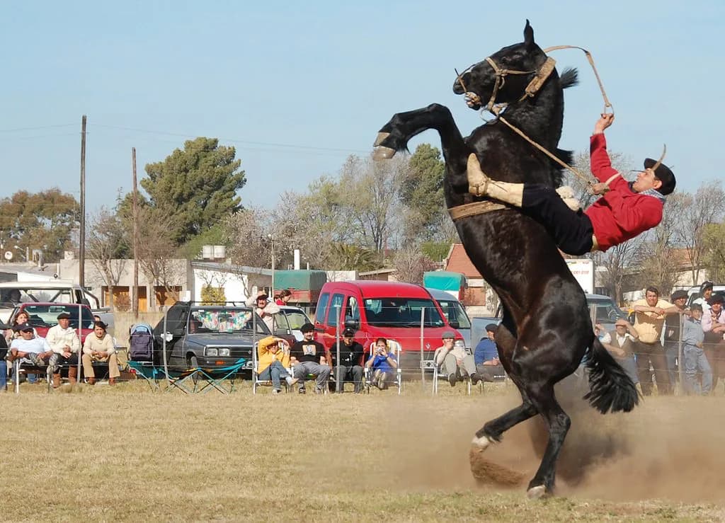 【阪神（土）京橋特別】前走好調の降級馬たちに潜む危険な人気馬とは？