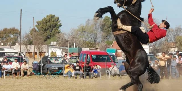 【阪神（土）京橋特別】前走好調の降級馬たちに潜む危険な人気馬とは？