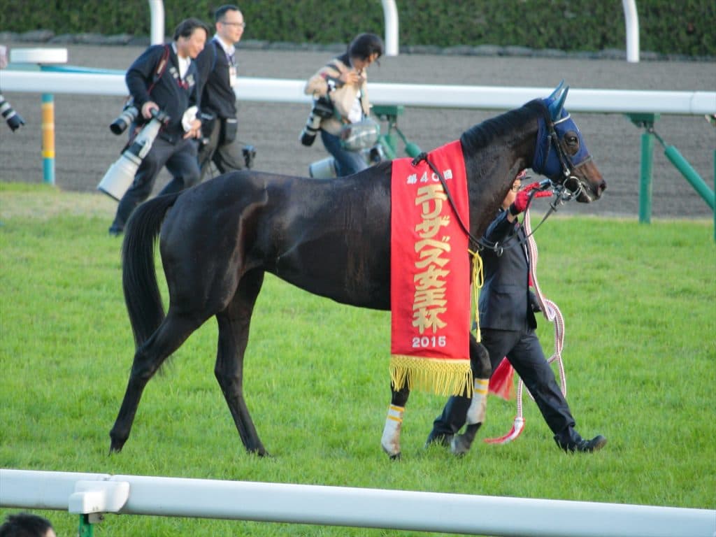 【宝塚記念2016出走馬】牝馬なのに長距離系？マリアライトに迫る