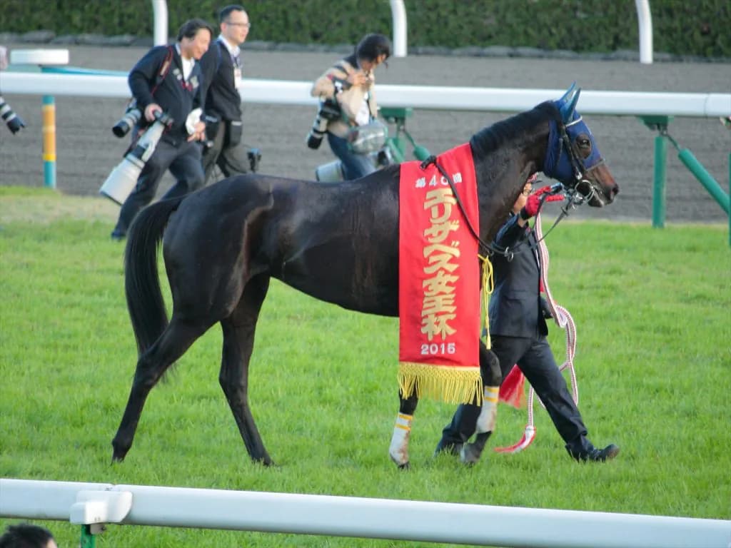 【宝塚記念2016出走馬】牝馬なのに長距離系？マリアライトに迫る